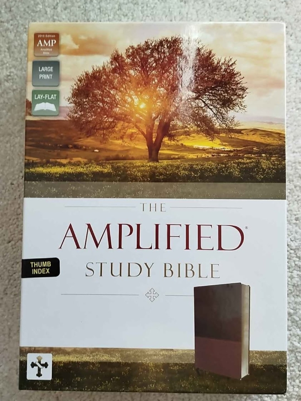 The amplified study Bible . Zondervan. Theological study